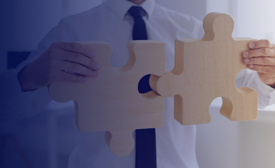 PIM DAM Integration